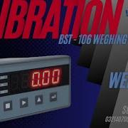 BST 106 Weighing Controller Calibration Fillingmachine Relay Checkweigher C1500 4K