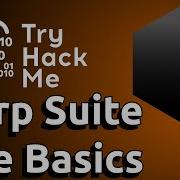 Burp Suite The Basics TryHackMe In Depth Walkthrough