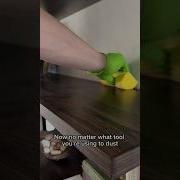 Use These Tools To Dust Your Home The Right Way Day 17 Spring Cleaning Spree 2024 Cleaning Howto