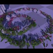 Ivy Studio New Real Time Gradual Vine Growth On Spline