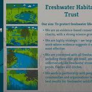 Citizen Science Testing The Water 2021 EDNA Survey Results