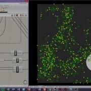 Physarum Polycephalum Simulation 3