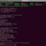 2019 03 28 FMRIPREP Example Contribution