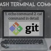 Git Bash Terminal Commands