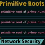 Primitive Roots