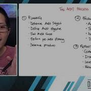 The Audit Process