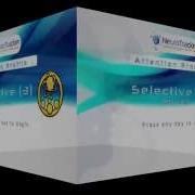 What Is A Selective Attention Profile