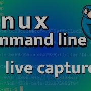 LCL 25 Live Capture Incidence Response Linux Command Line Tutorial For Forensics