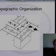 CCN Course 2020 Networks 4 Distributed Representations