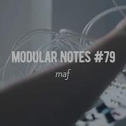Modular Notes 79 Mangrove Optomix Plaits BlackHole DSP
