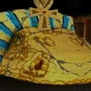 Summoned Locust Swarm Wizard101