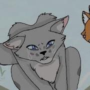 Wildfire Ashfur MAP Part 3