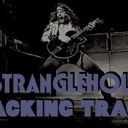 Ted Nugent Stranglehold A Minor Rock Backing Track