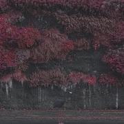Sleep Token Even In Arcadia Vocals Only