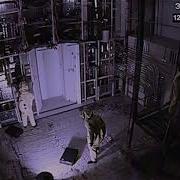 Backrooms All Tests Portal