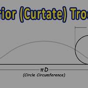 What Is An Inferior Curtate Trochoid Engineering Drawing
