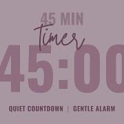45 Minute Quiet Countdown Timer Gentle Alarm Aesthetic Pastel Pink