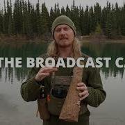 Moose Calling Strategies