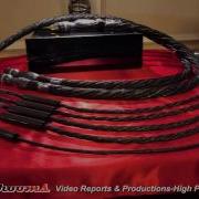 Synergistic Research Scott Walker Audio