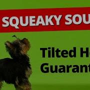 Squeaky Toy Dog Toy Squeaky Toy Sounds 1 Hour Dog Running Videos Tilted Head