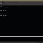 PHP Tutorial Command Line Scripts Part 03 Infinite Loops
