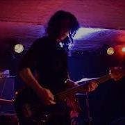 Insect Ark 08 05 2018 Lille F