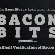 PowerShell Verification Of Bacon Ports