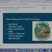 10 5th Grade Slide Order Spell Check And Transitions