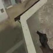 Strafe Jump