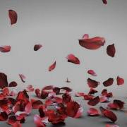 Falling Rose Petals
