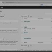 WordPress Custom Loop WP Query Tutorial For Beginner
