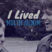 Multifandom I Lived