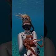 Watch This Baby Octopus Grow Up Ocean Babyoctopus Octopus Shorts Jennakonyok