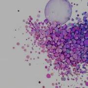 Threejs WebGPU Compute Shaders Physics