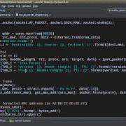 Учебное пособие по снифферу сетевых пакетов Python 6 Отображение данных пакетов