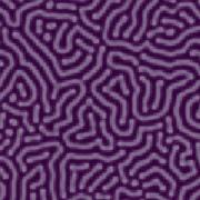 Diffusion Reaction Patterns Step By Step With Python