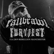 FURYFEST 2019 FALLBRAWL FULL SET