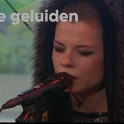 Kovacs My Love Live Bimhuis Amsterdam