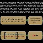 How To Getting The 2 S Complement Of A Hexadecimal Number