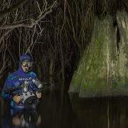 Night Snorkel In A Flooded Cypress Swamp