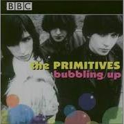 The Primitives Crash Bass Drums And Vocals