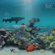Best PS3 Dynamic Themes 2010 IMO