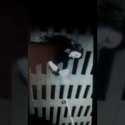 ЭММА М Штрихкоды ничо нет