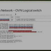 Troubleshooting OpenStack Neutron With ML2 OVN Backend Driver