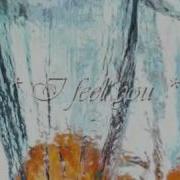 YouTube Schiller I Feel You With Lyrics In The Front 2 Flv