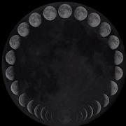 Lehu Full Cycle Cut