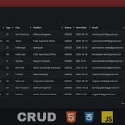 CRUD Operations Including Pagination Filter Option Using HTML CSS JavaScript Local Storage