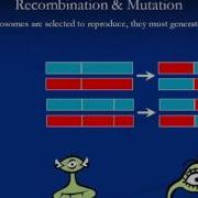 04C Genetic Algorithms 720p