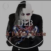 A Perfect Circle DLB HQ