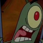 Plankton YES